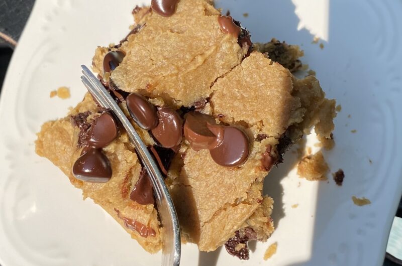 Chickpea Chocolate Chip Blondies (flourless)