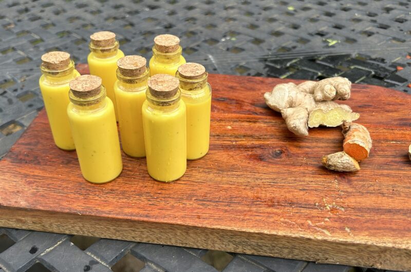 Turmeric Ginger Wellness Shots